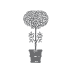 JANUS et Cie